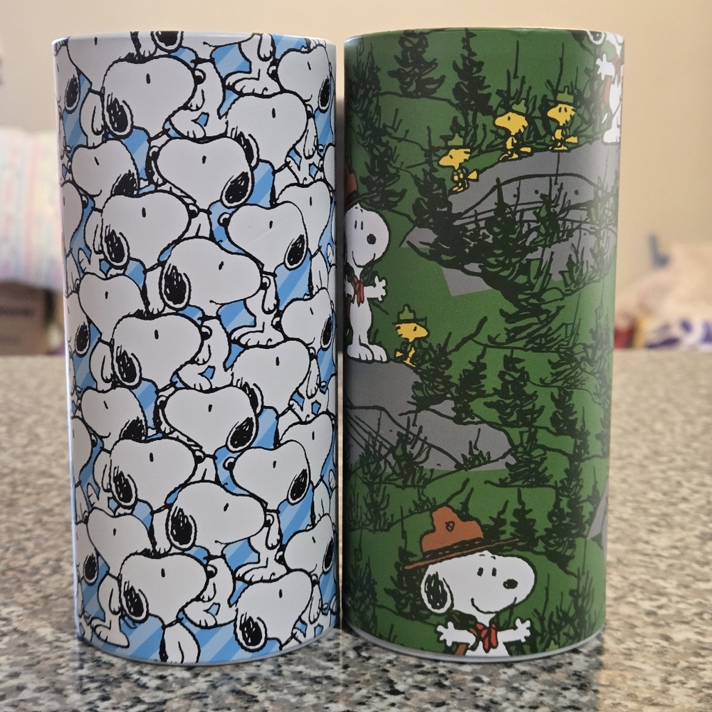 🍒🍒 Peanuts Snoopy and Woodstock Decor - Blue and Green